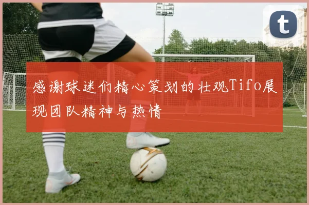 感谢球迷们精心策划的壮观Tifo展现团队精神与热情