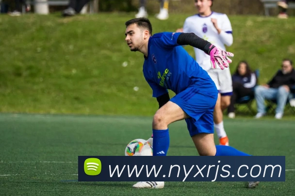 平台使命图